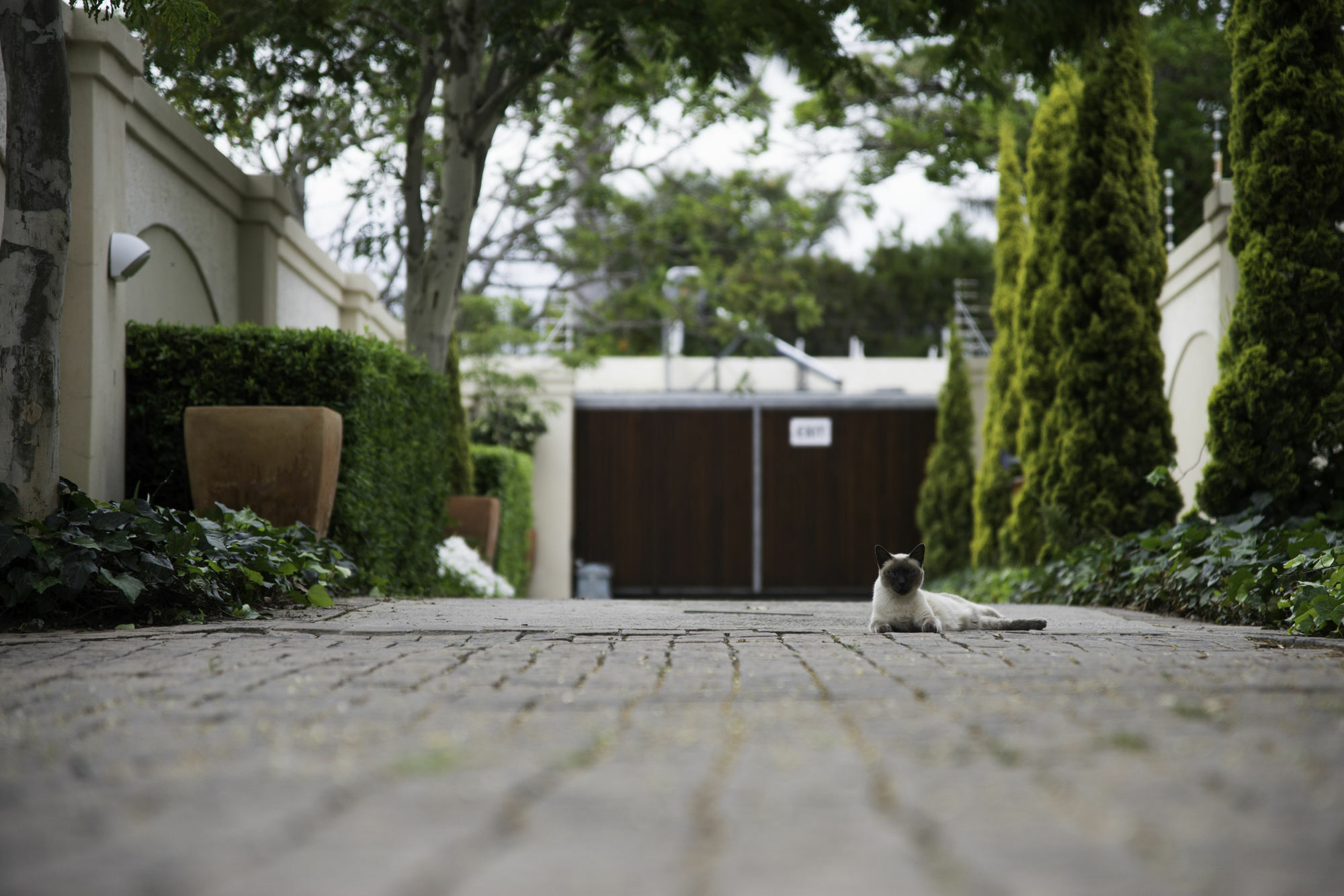 Arum Guest House East London Exterior foto